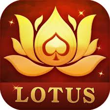 teen patti chips dealer download